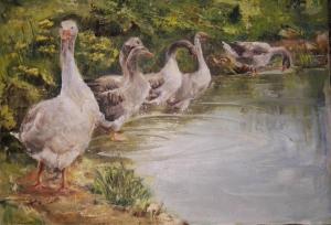 Gęsi nad stawem